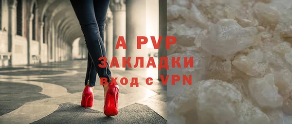 прущие крисы Новозыбков