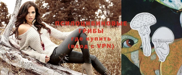мескалин Медвежьегорск
