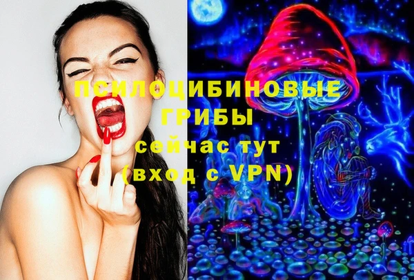 индика Магадан